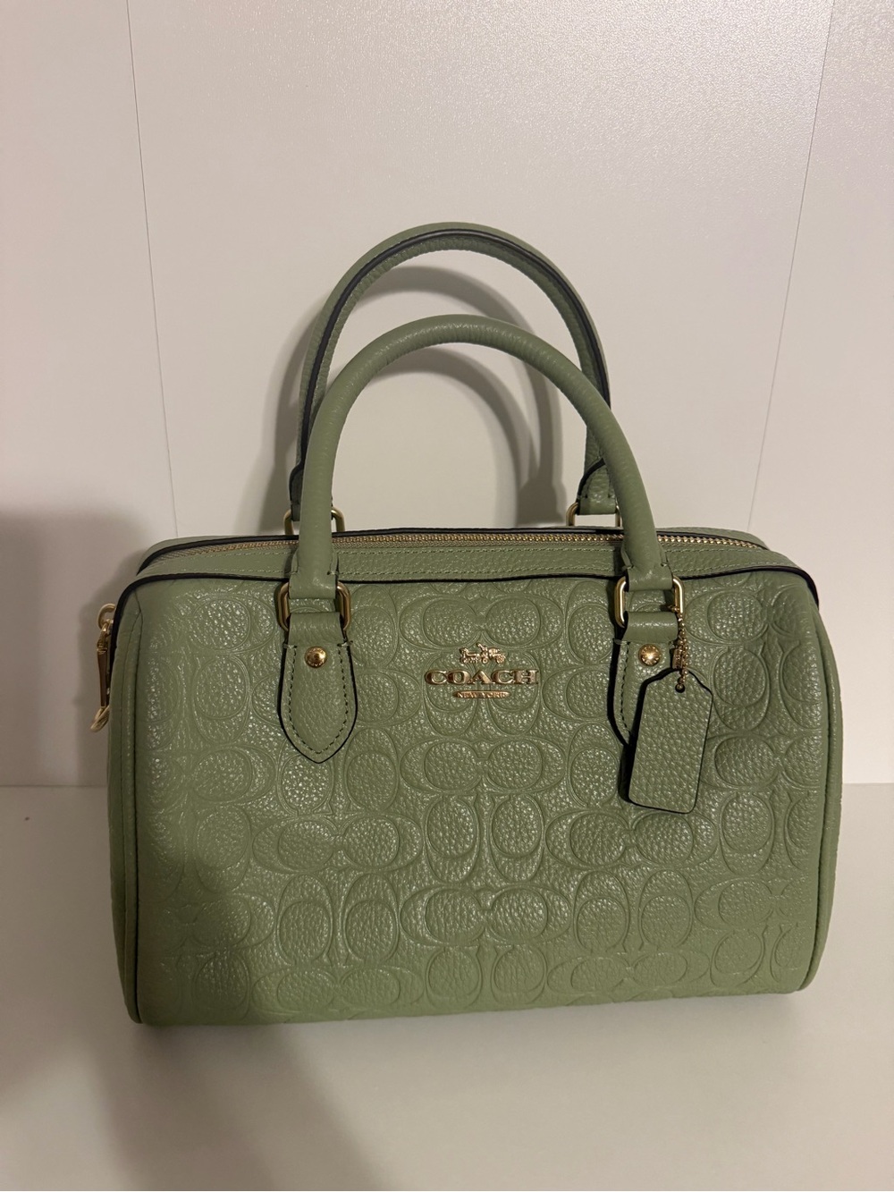 COACH rowan Sage Embossed Leather Satchel